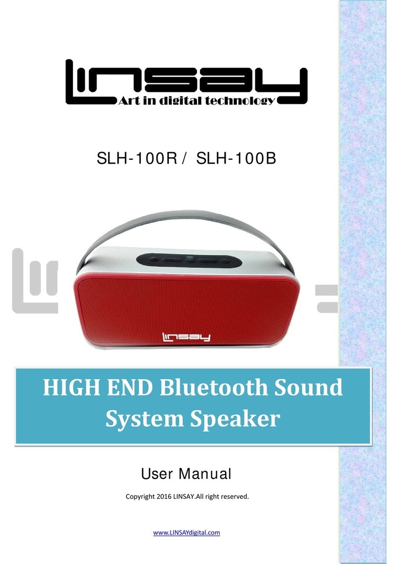 Linsay SLH-100R user manual
