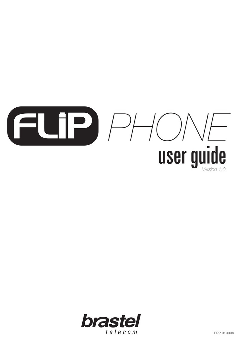 brastel flip user guide