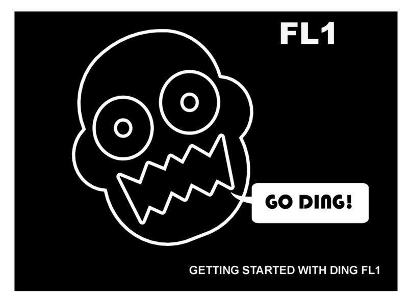 DING FL1 user manual