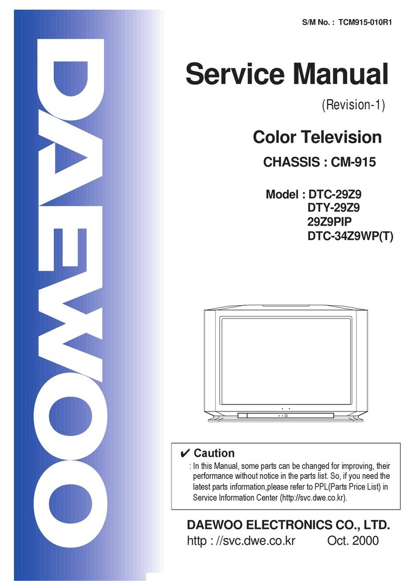 Daewoo DTY-29Z9 User manual