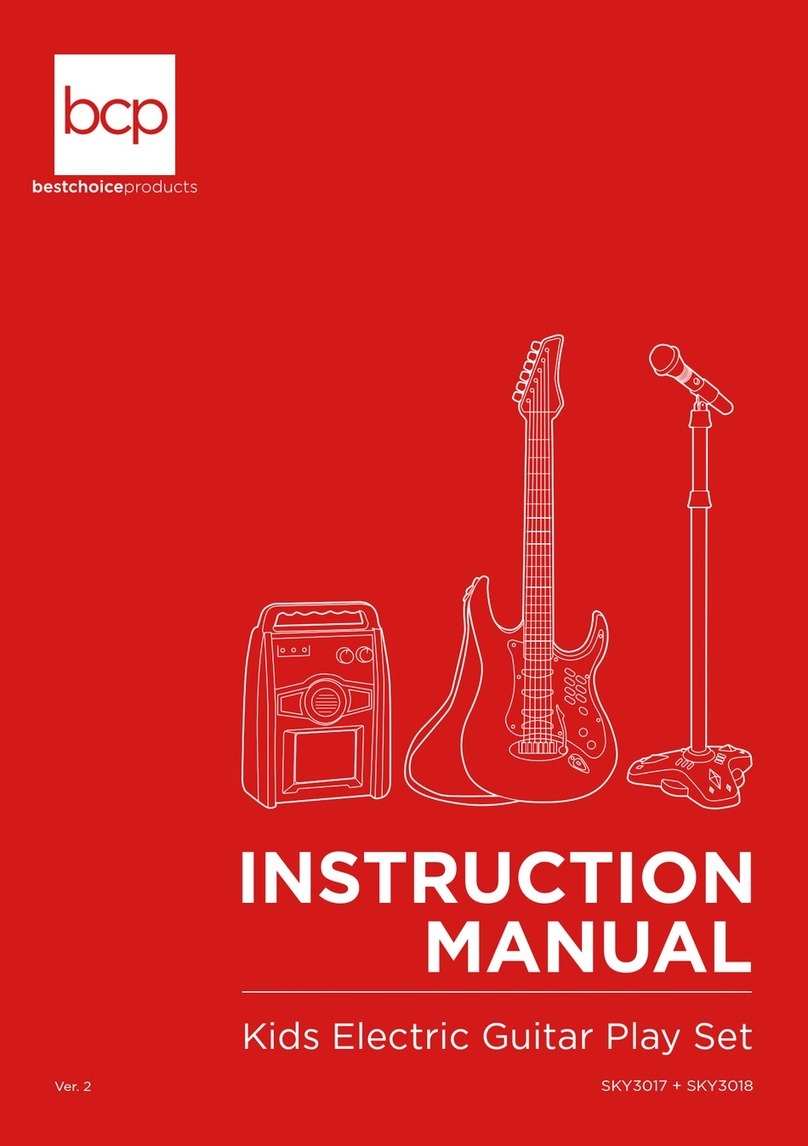 BCP SKY3017 User manual