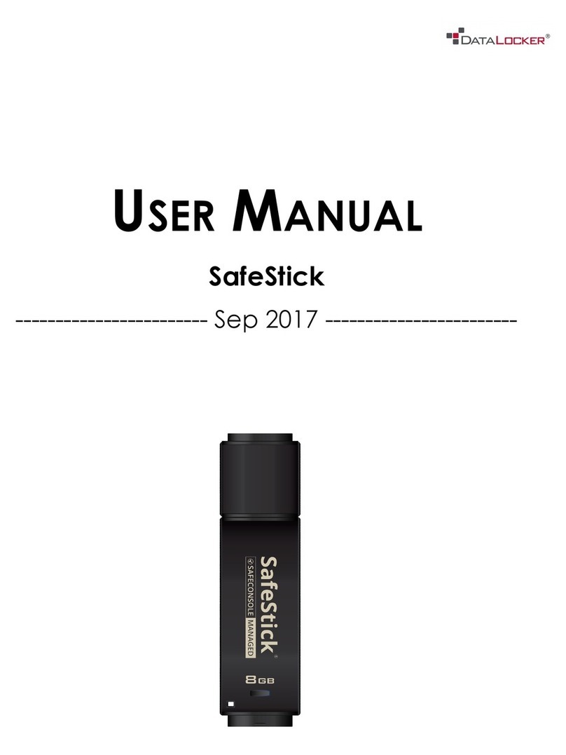 DataLocker SafeStick User manual
