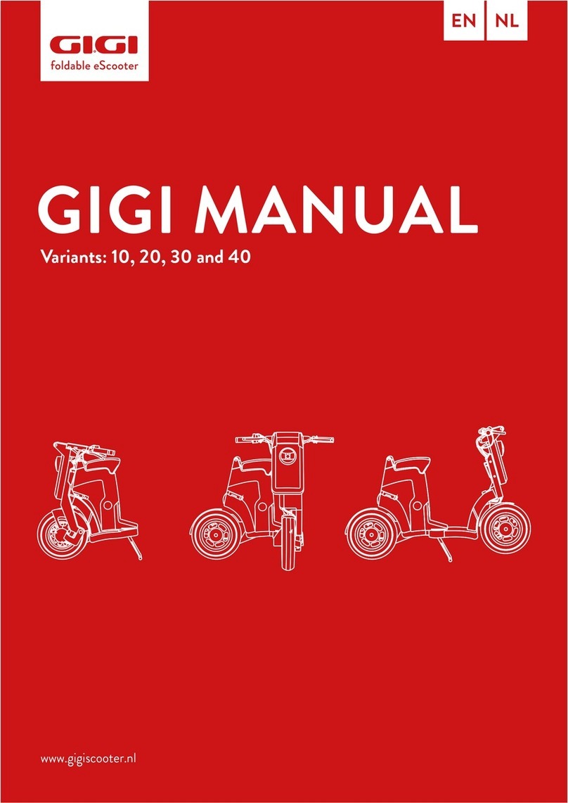 Gigi 10 manual