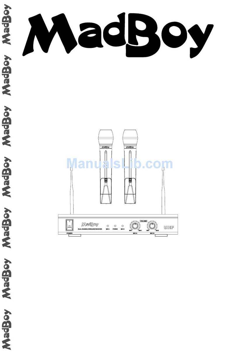 MadBoy U-TUBE 20 owner's manual