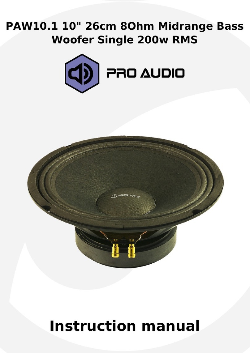 ProAudio PAW10.1 instruction manual