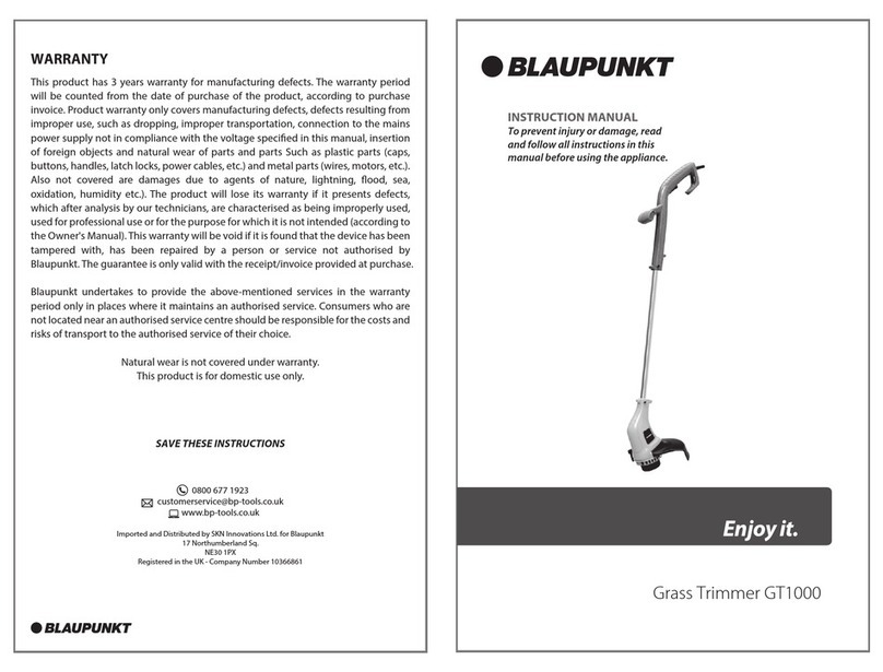 Blaupunkt GT1000 User manual