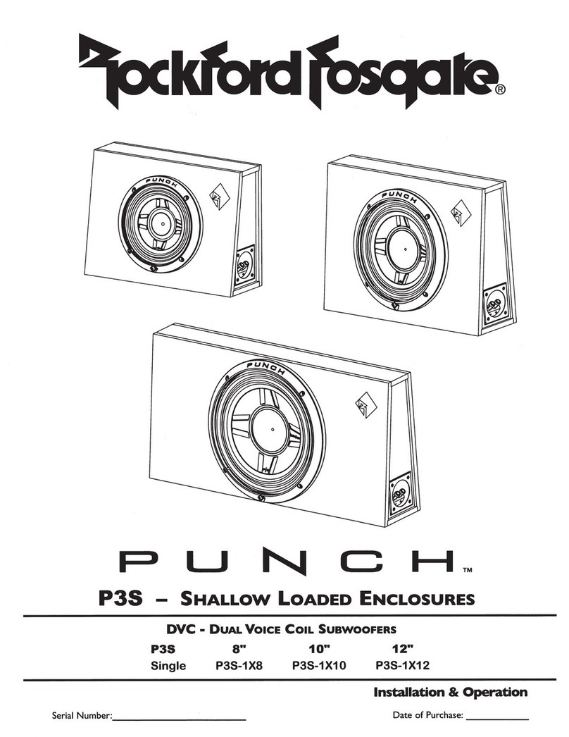 Rockford Fosgate Punch P3S-1X8 Guide