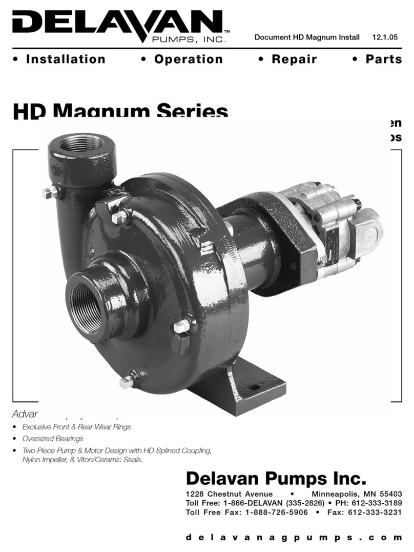 Delavan HD Magnum Series manual