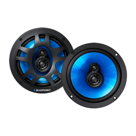 Blaupunkt GT Power 40.2 x manual