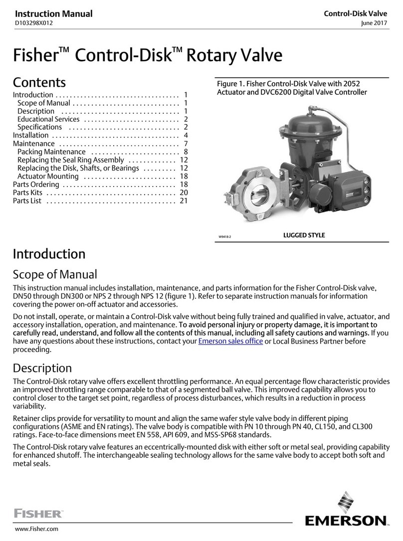 Fisher Control-Disk User manual