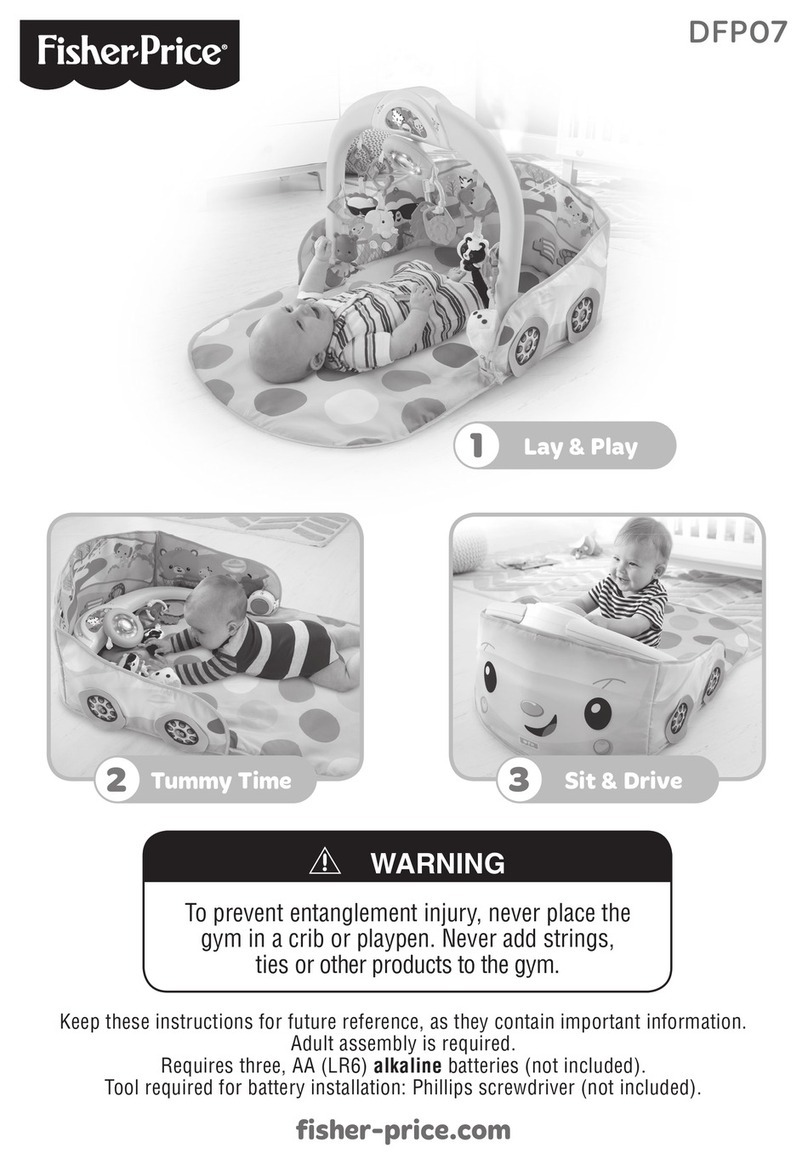 Fisher-Price DFP07 User manual