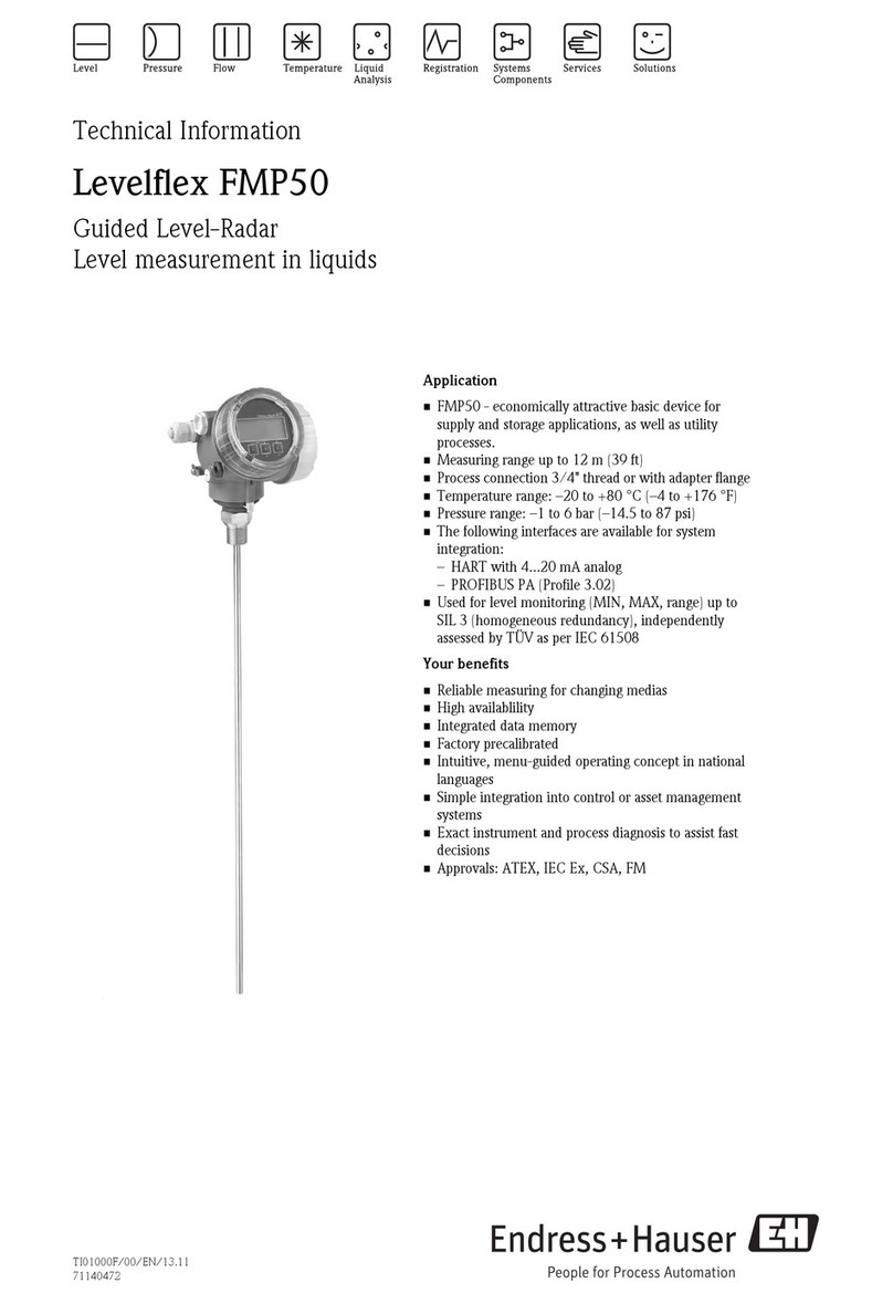 Endress+Hauser Levelflex FMP50 technical information