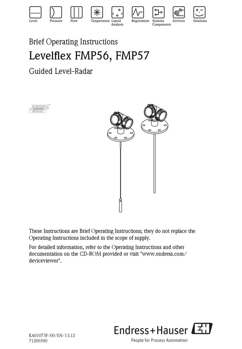 Endress+Hauser Levelflex FMP56 operating instructions