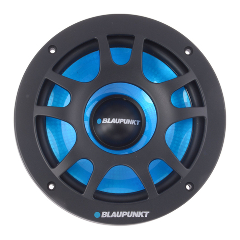 Blaupunkt GT Power 54.2 C installation instructions