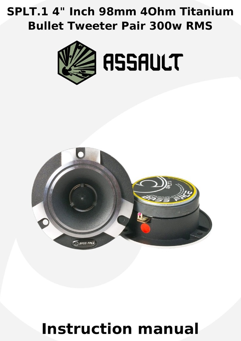 Assault SPLT.1 instruction manual