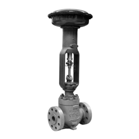 Emerson Fisher EHD User manual
