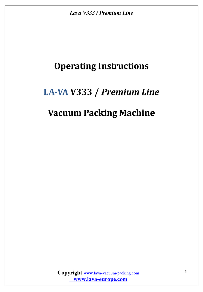 Lava LA-VA V333 User manual