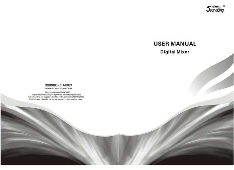 swamp SDK-DM20 user manual