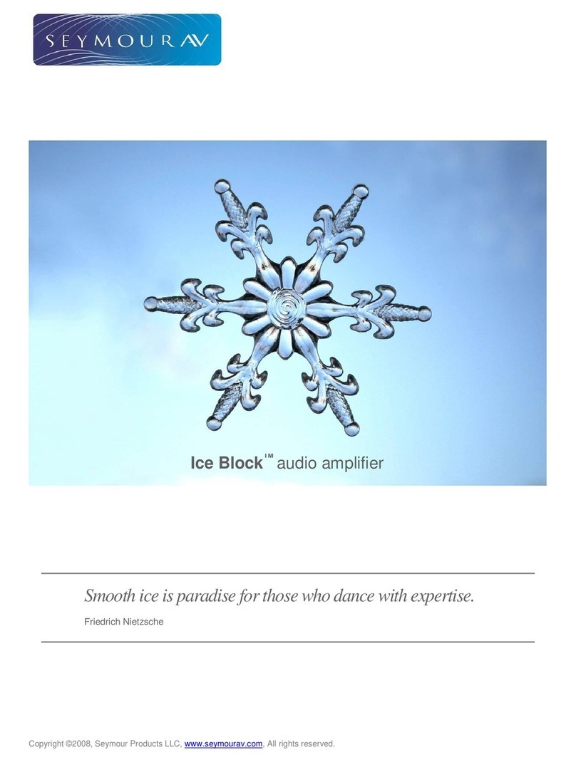Seymour AV Ice Block manual