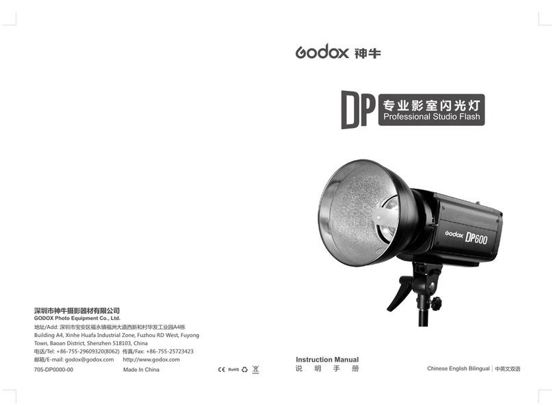 Godox DP300 User manual