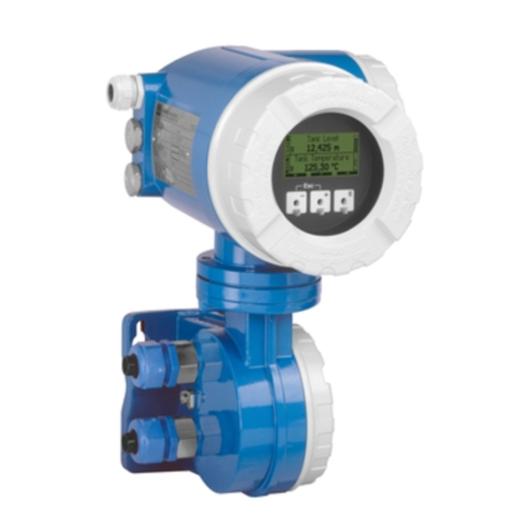 Endress+Hauser Tank Side Monitor NRF590 User manual