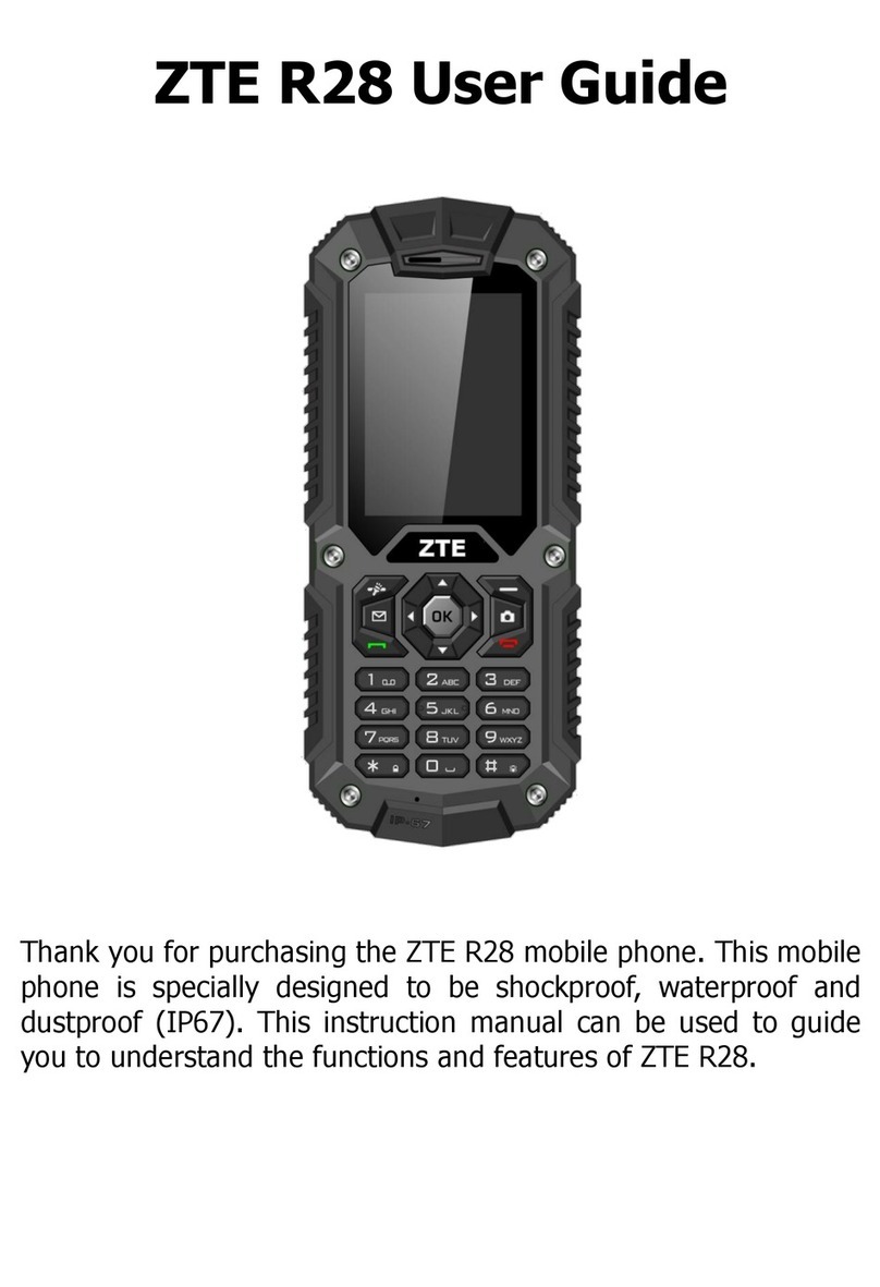 Zte R28 User manual