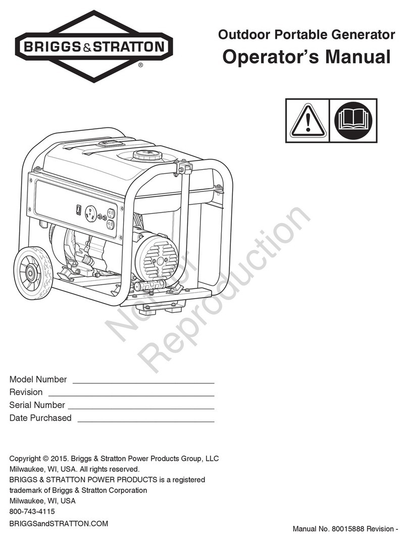 Briggs & Stratton 30676 User manual