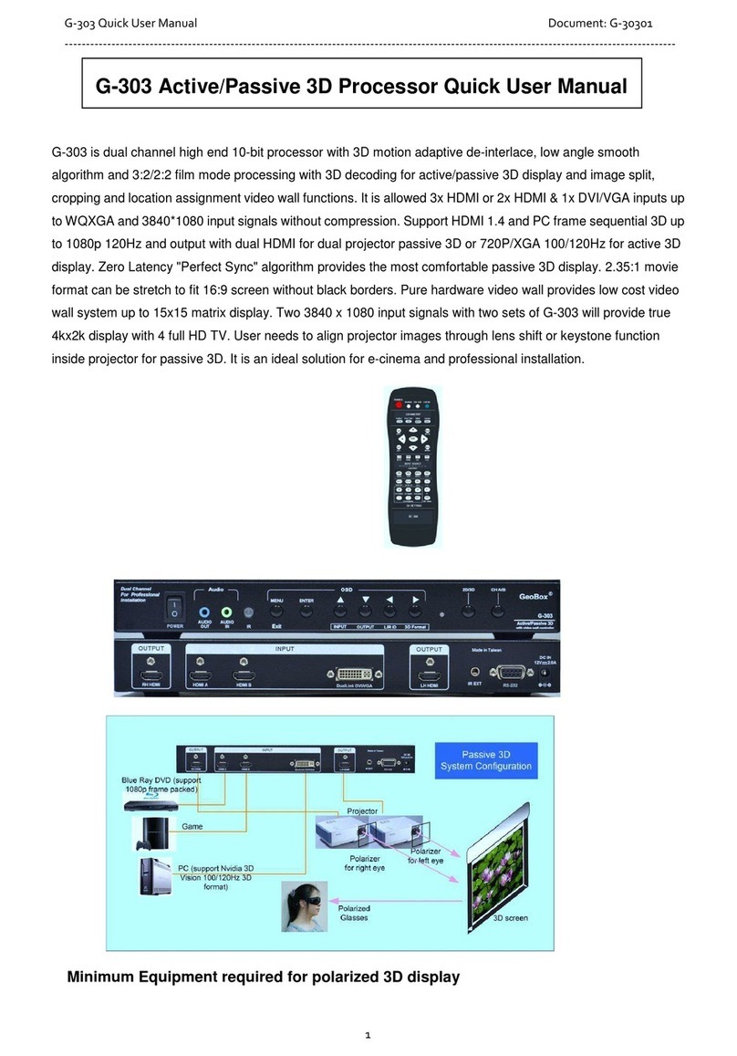 VNS G-303 Quick user manual