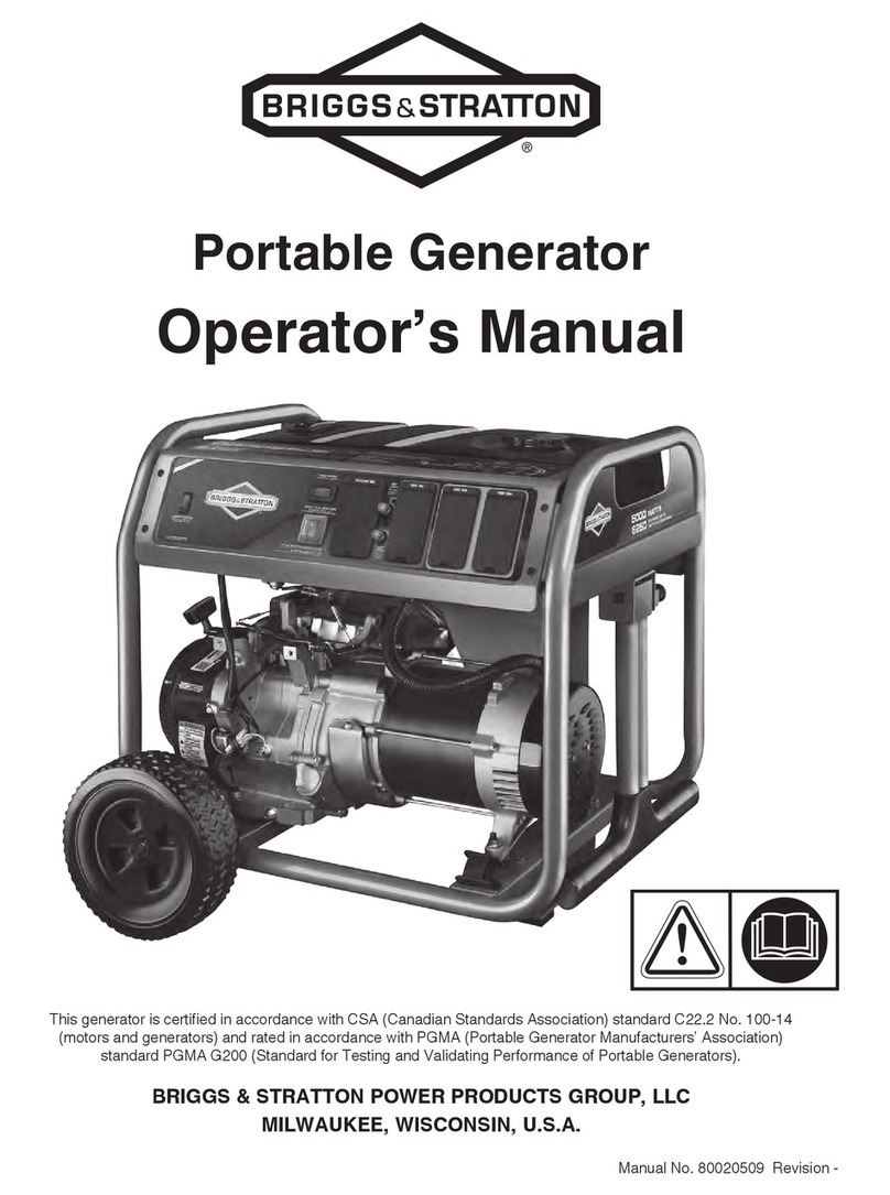 Briggs & Stratton 030607-02 User manual
