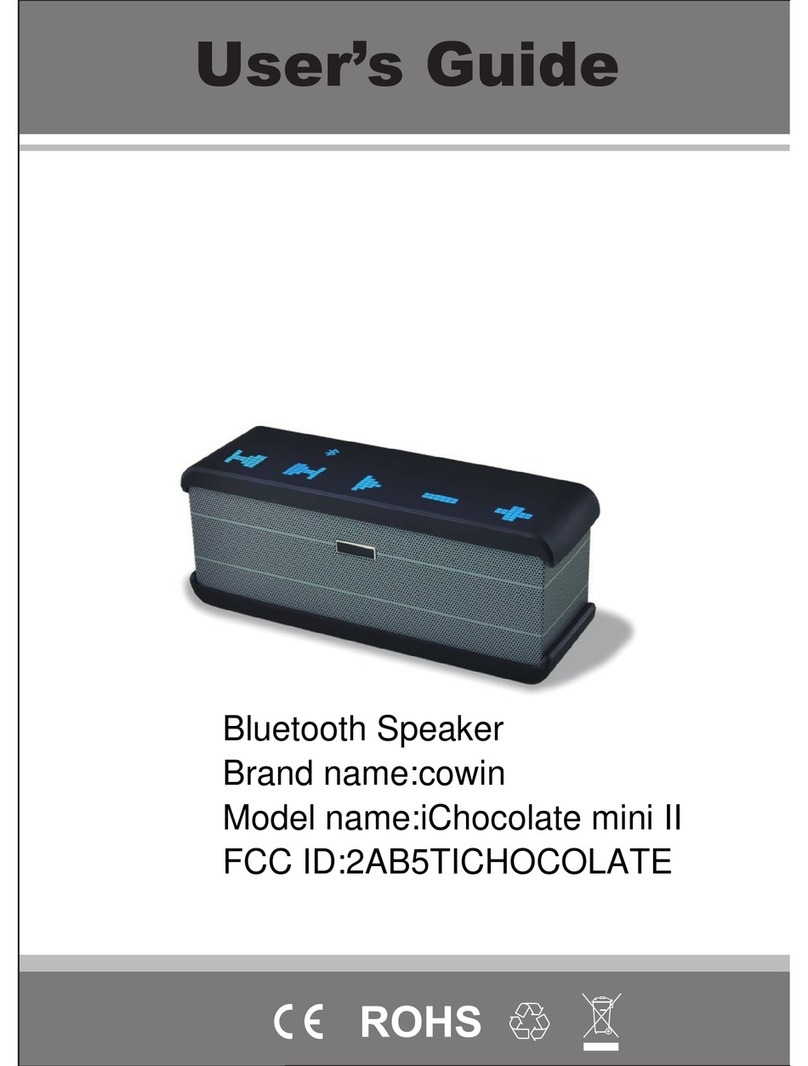 cowin iChocolate mini II User manual
