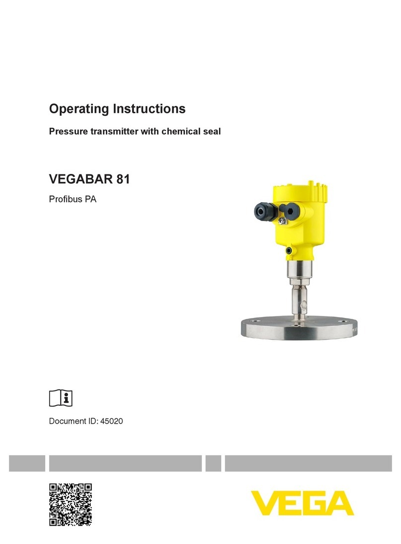 Vega VEGABAR 81 User manual