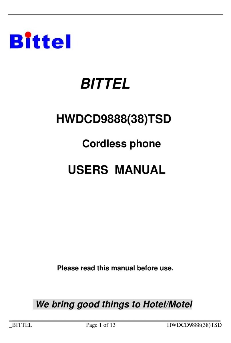 Bittel HWDCD9888(38)TSD user manual