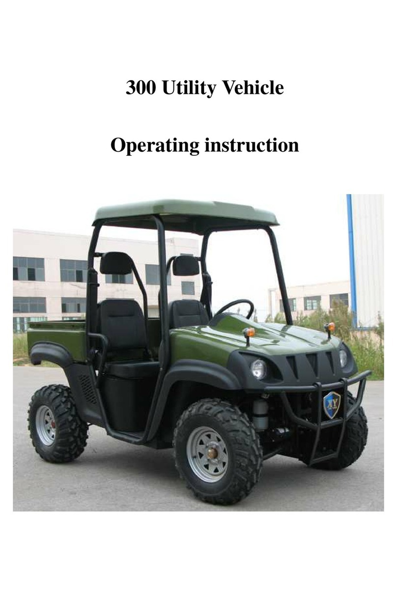 Zhejiang Xinyang XY300 Operating	 instruction