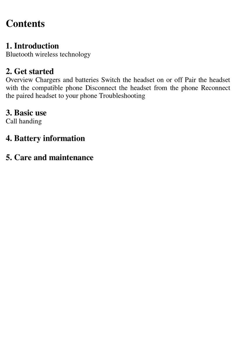 LAYON BH95 user manual