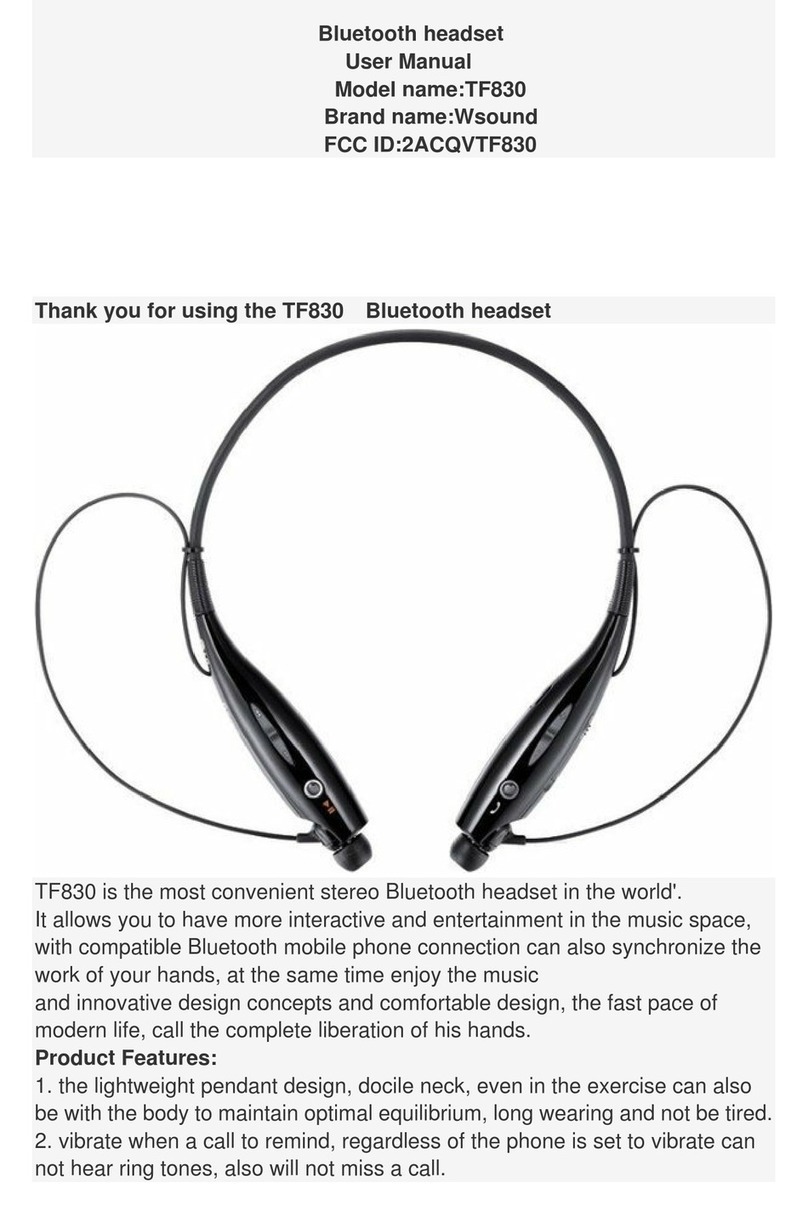 Wsound TF830 user manual