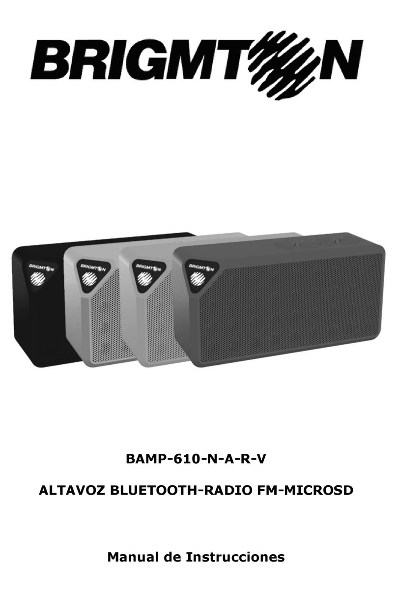Brigmton BAMP-610-N instruction manual