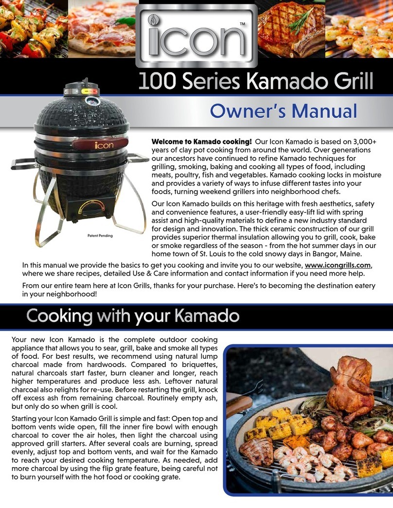 ICON 100 Series owner's manual