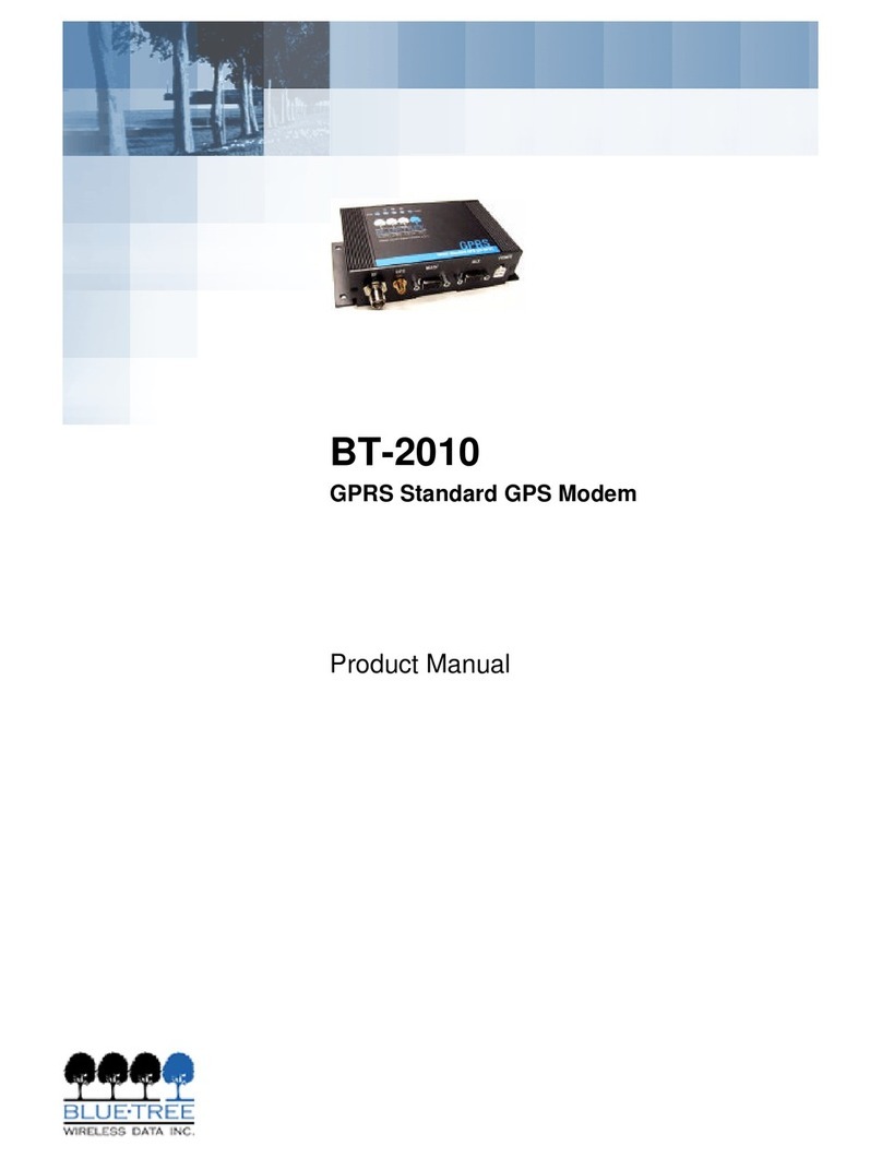 BlueTree BT-2010 product manual