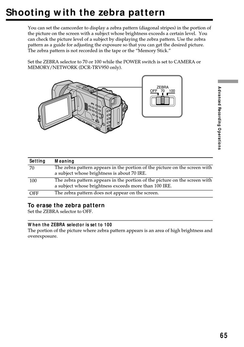 Sony Handycam DCR-TRV950 User manual