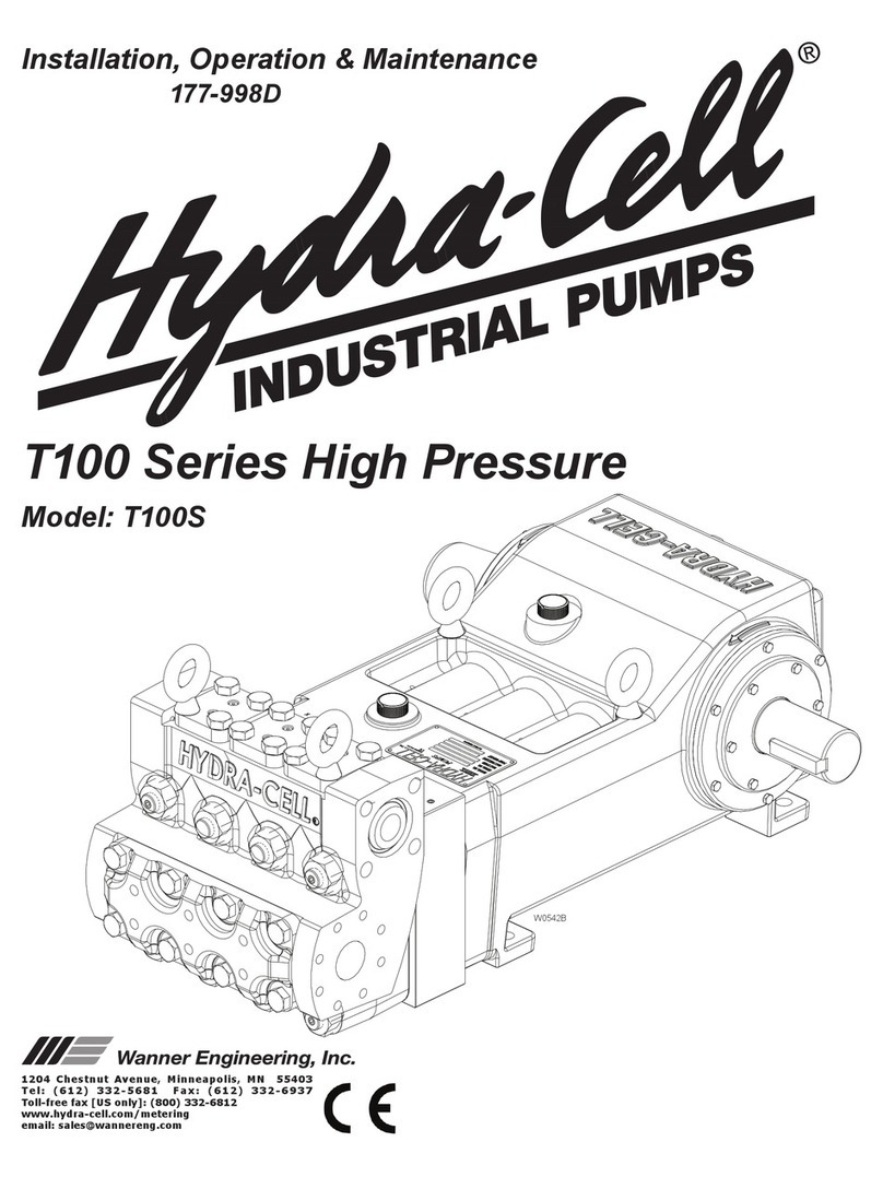 Hydra-Cell T100S Instruction manual