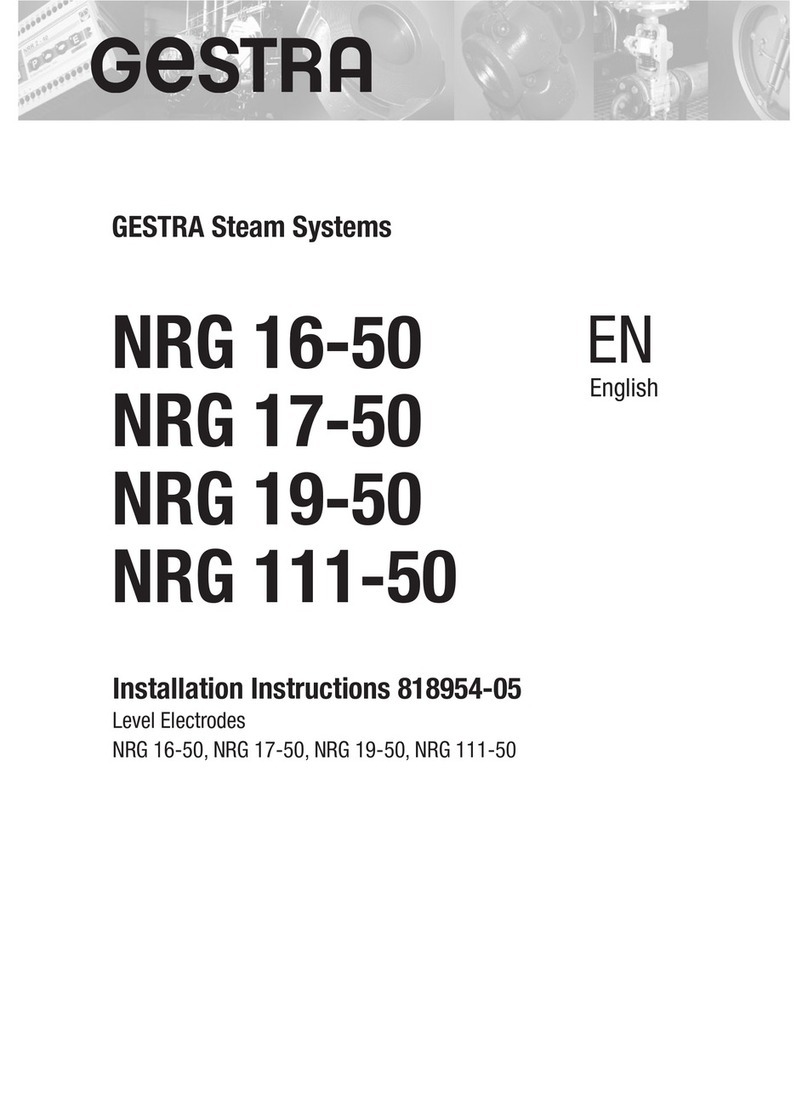 GESTRA NRG 17-50 installation instructions