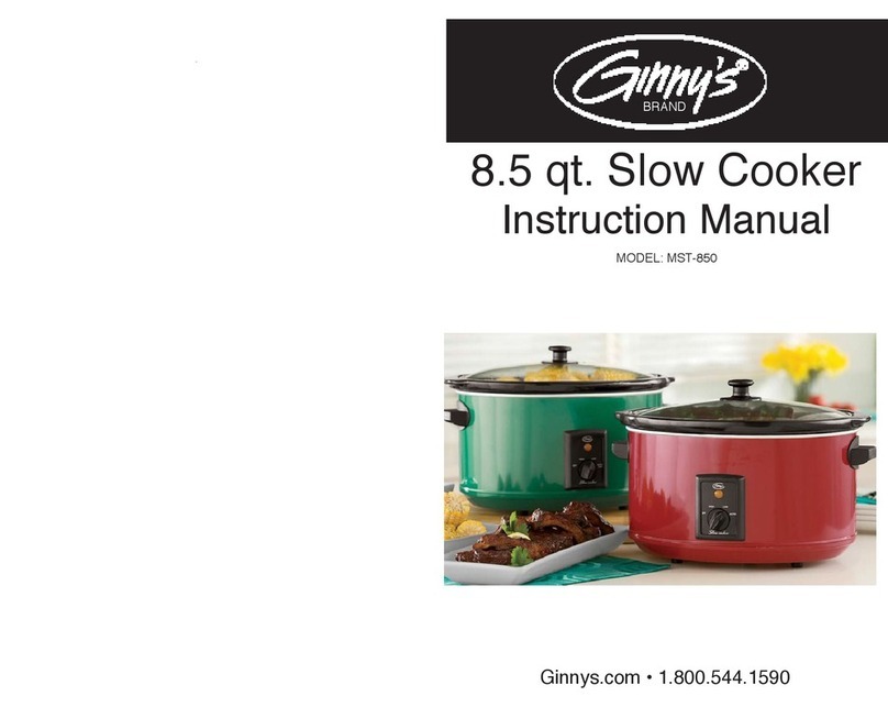 Ginnys MST-850 instruction manual