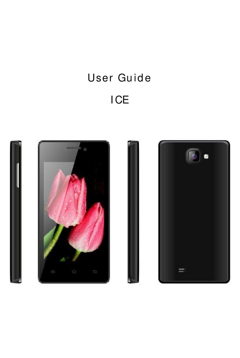 IMC ICE user guide