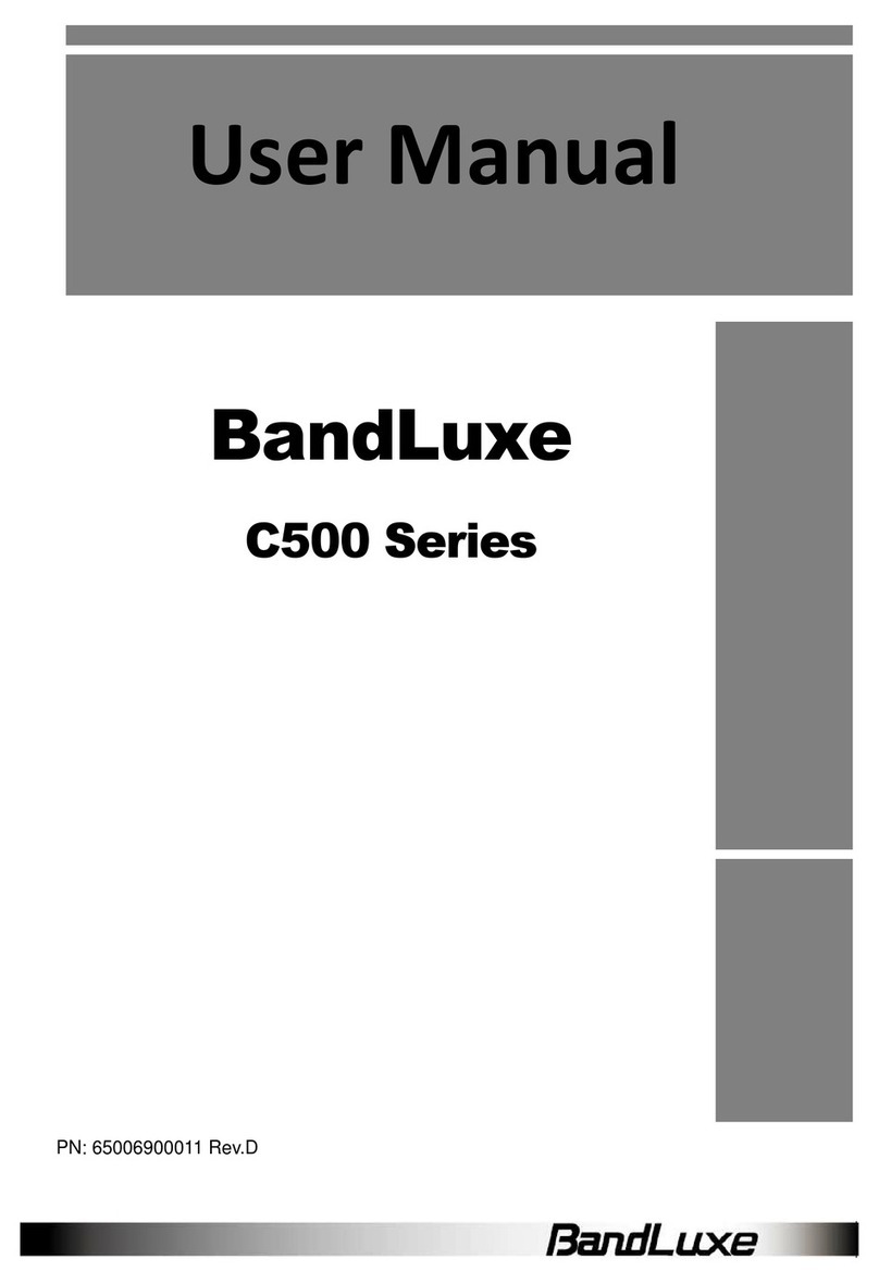BandLuxe C501 User manual