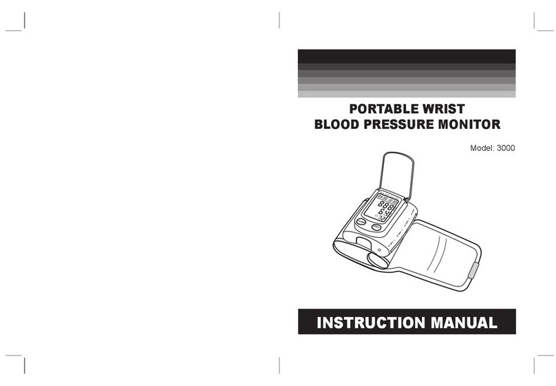 BRASH IMPORTS 3000 instruction manual