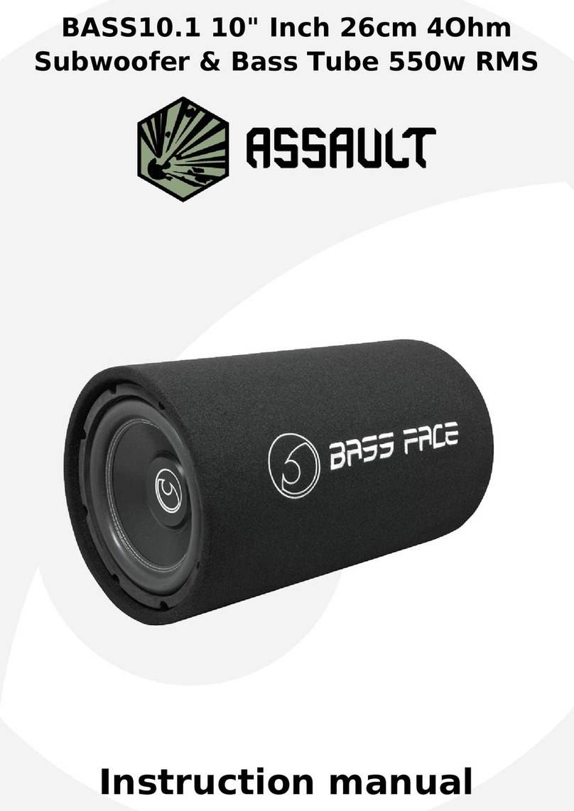 Assault BASS10.1 instruction manual