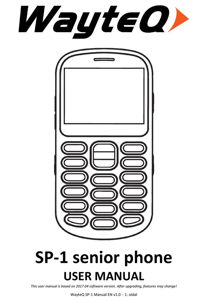 WayteQ SP-1 user manual