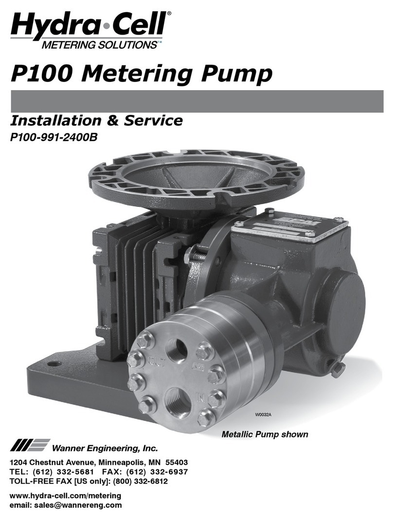 Wanner Engineering P100 Installation & service guide