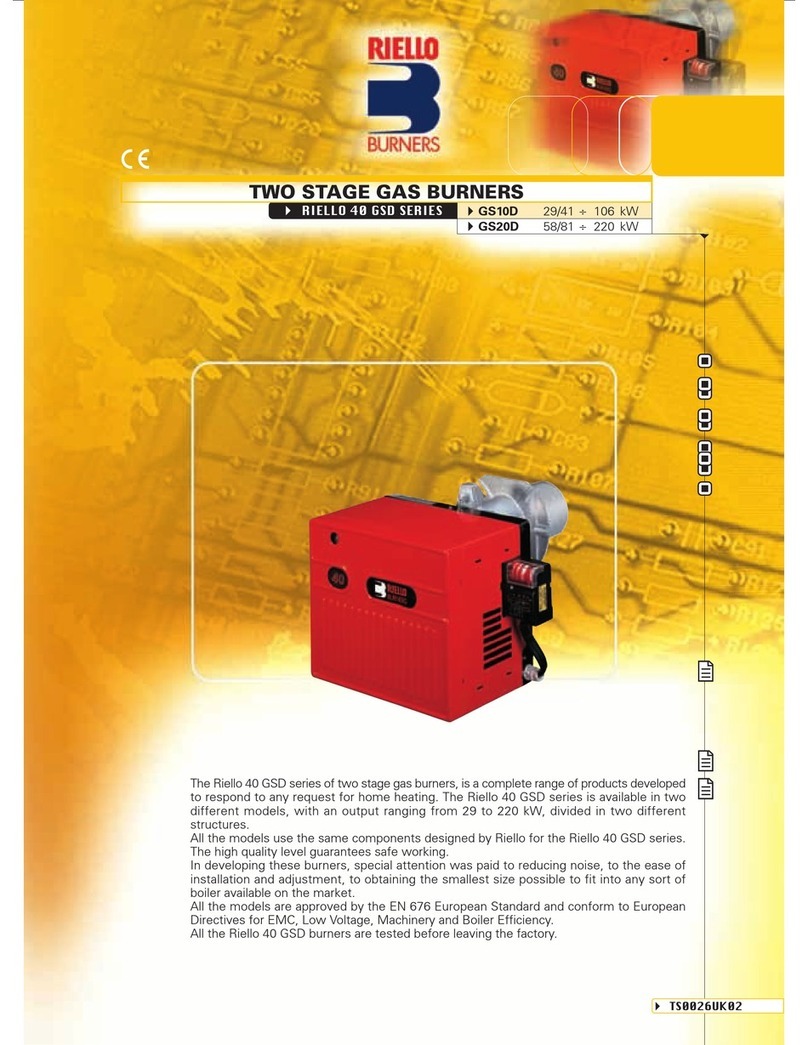 Riello GS10D User manual
