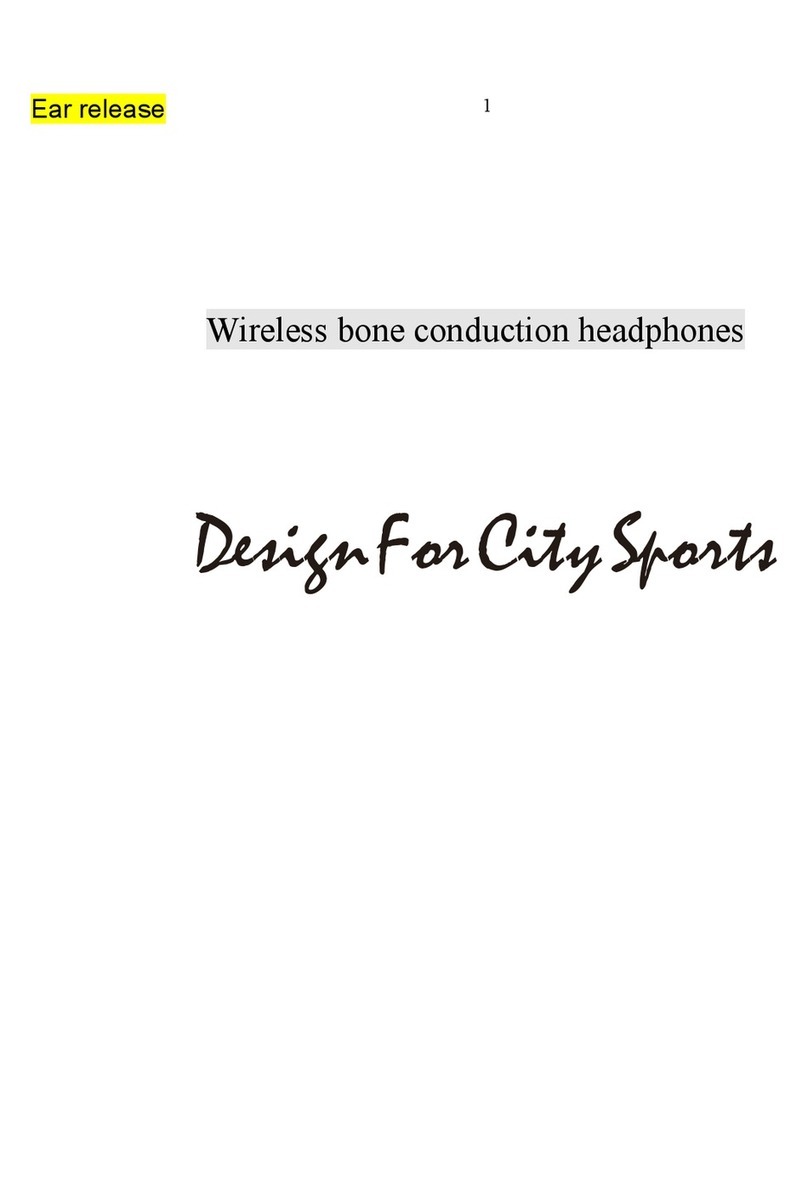 DigiCare WINDSHEAR user manual